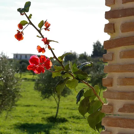 Paliopigado Villas *