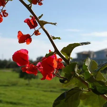 Paliopigado Villas Villa Kalpaki (Zakynthos)